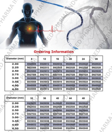 Sirolimus Eluting Coronary Stent System